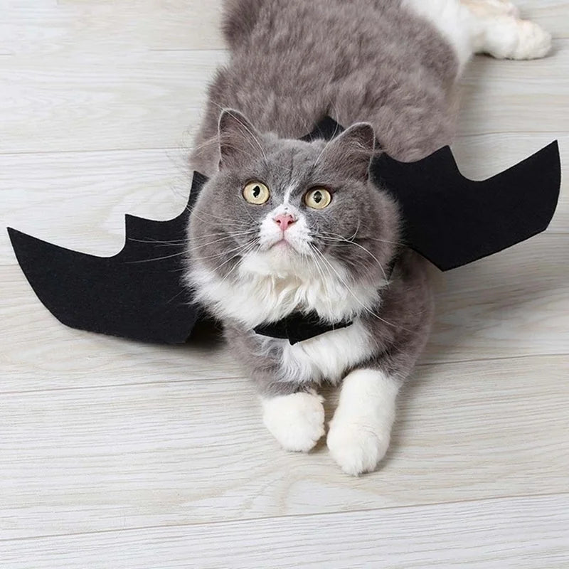 Ailes de Chauve-Souris Animaux