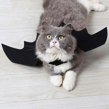 Ailes de Chauve-Souris Animaux