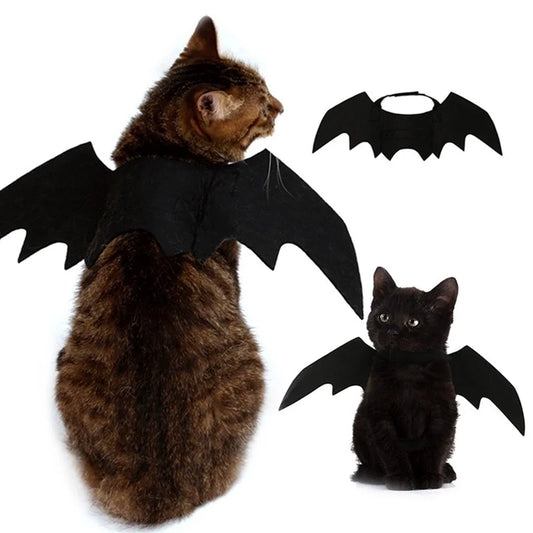 Ailes de Chauve-Souris Animaux