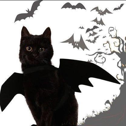Ailes de Chauve-Souris Animaux