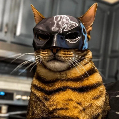 Masque Chauve-Souris Chat