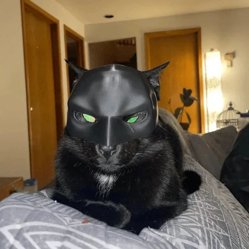 Masque Chauve-Souris Chat