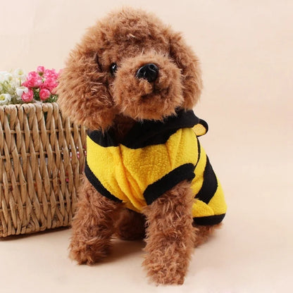 Costume abeille pour chien - vue de face sur un caniche
