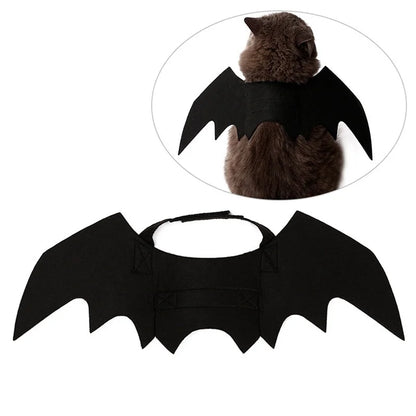 Ailes de Chauve-Souris Animaux