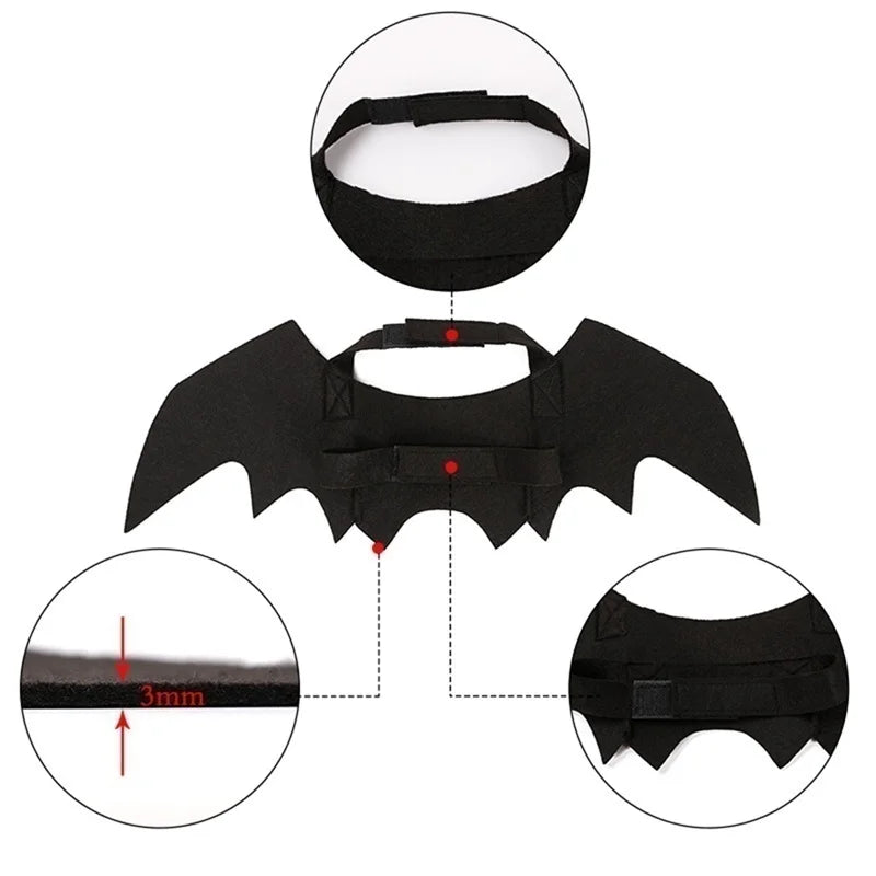 Ailes de Chauve-Souris Animaux