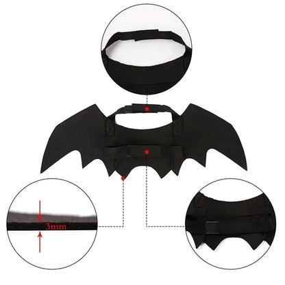 Ailes de Chauve-Souris Animaux