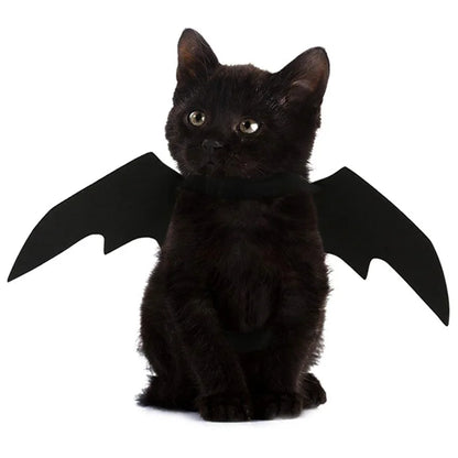 Ailes de Chauve-Souris Animaux