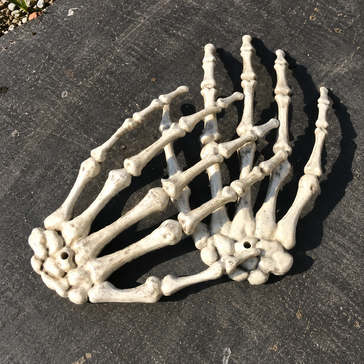 Mains squelettes Halloween à planter – vue 1